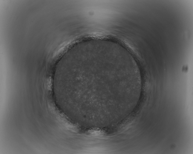 X0000111810689200908131459