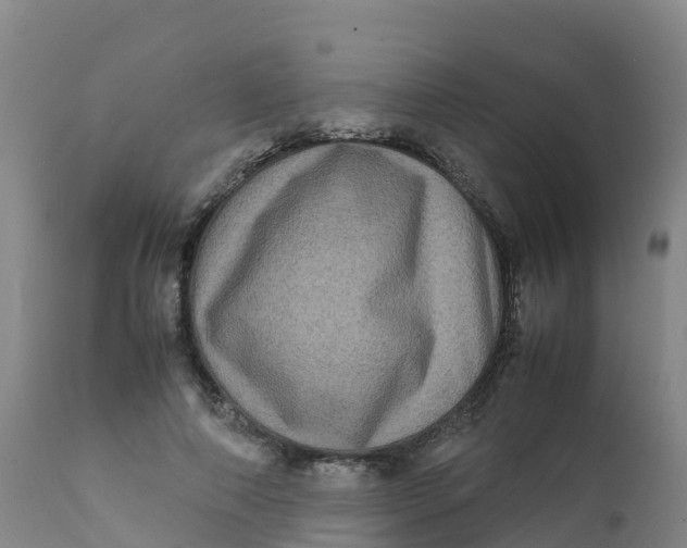 X0000111810690200908131459