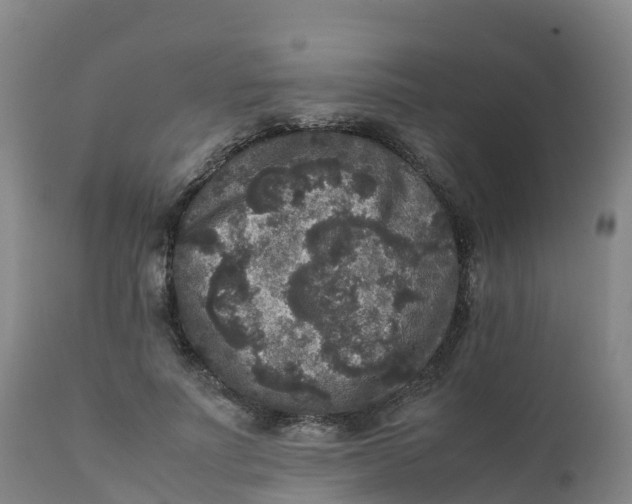 X0000111810691200908131459