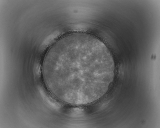 X0000111810692200908131459
