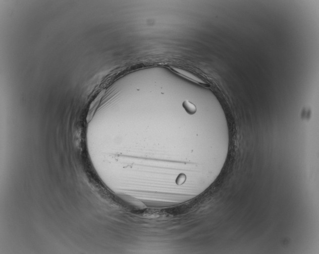 X0000111810693200908131459