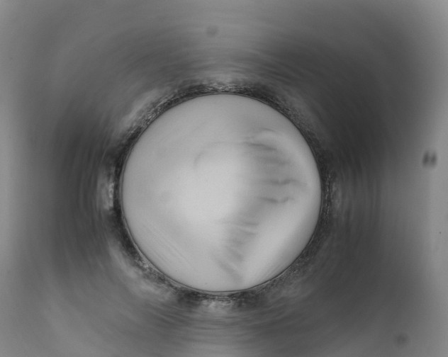 X0000111810694200908131459