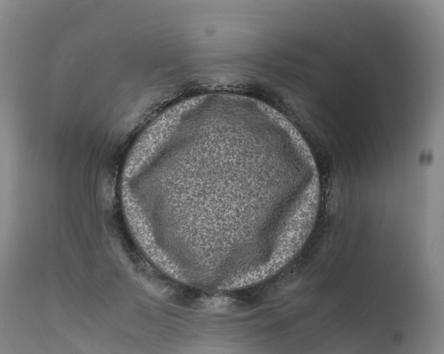 X0000111810695200908131459