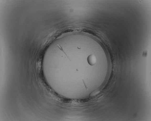 X0000111810697200908131459