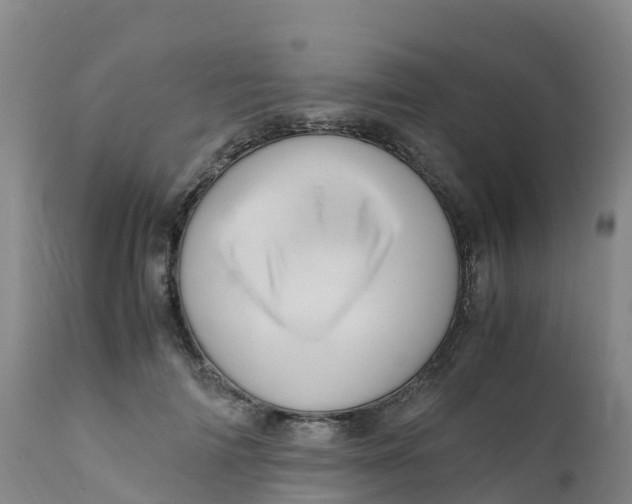 X0000111810698200908131459