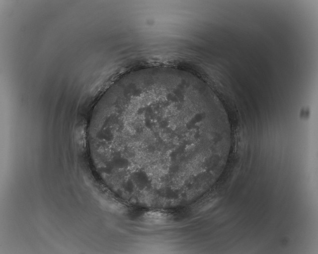 X0000111810699200908131459