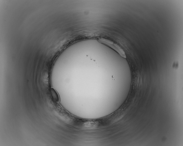 X0000111810700200908131459