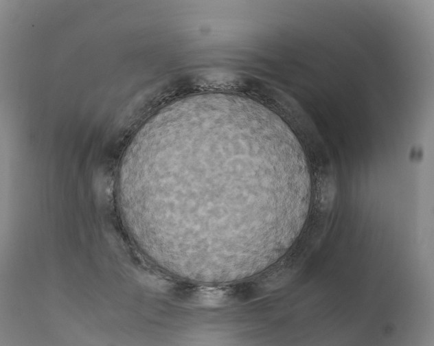 X0000111810701200908131459