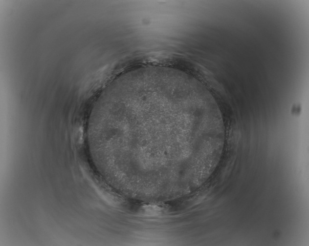X0000111810703200908131459