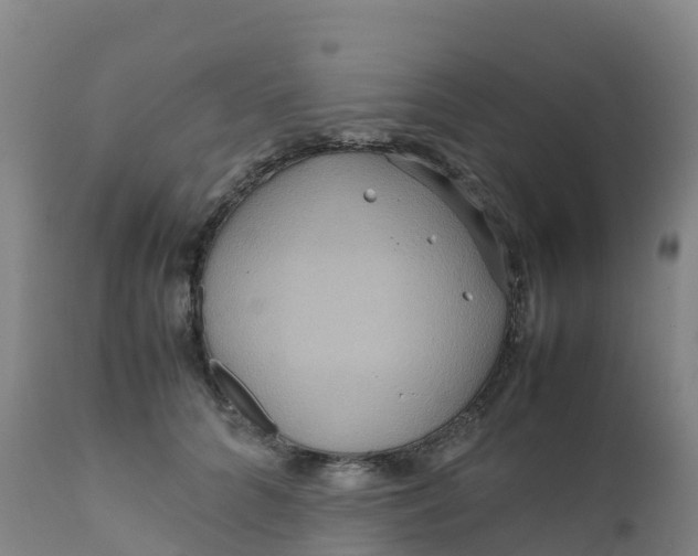 X0000111810704200908131459