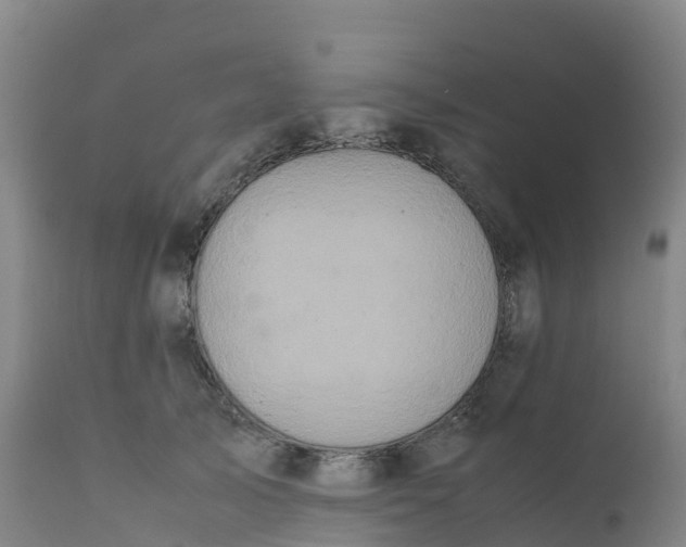 X0000111810705200908131459