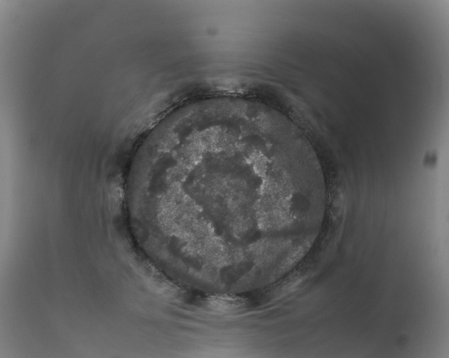 X0000111810707200908131459