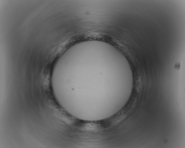 X0000111810708200908131459
