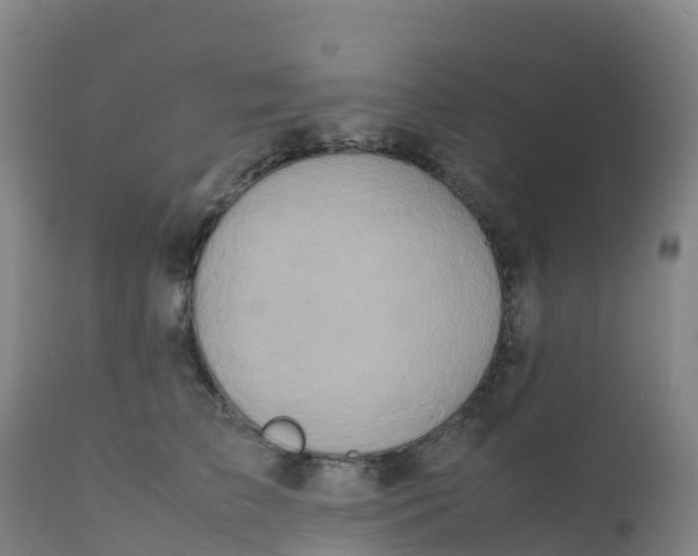 X0000111810709200908131459