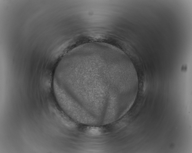 X0000111810710200908131459