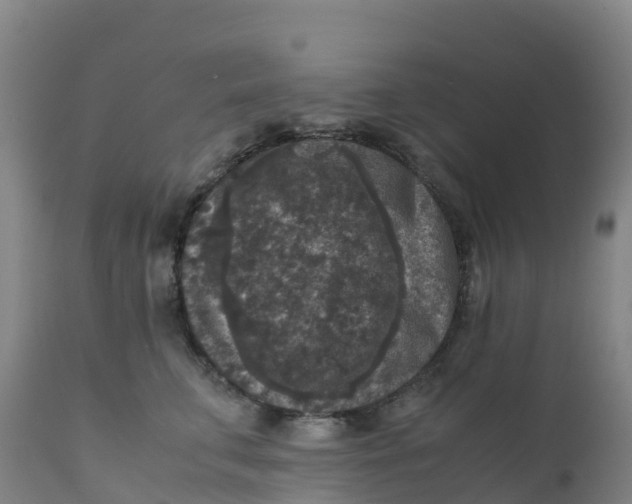 X0000111810711200908131459