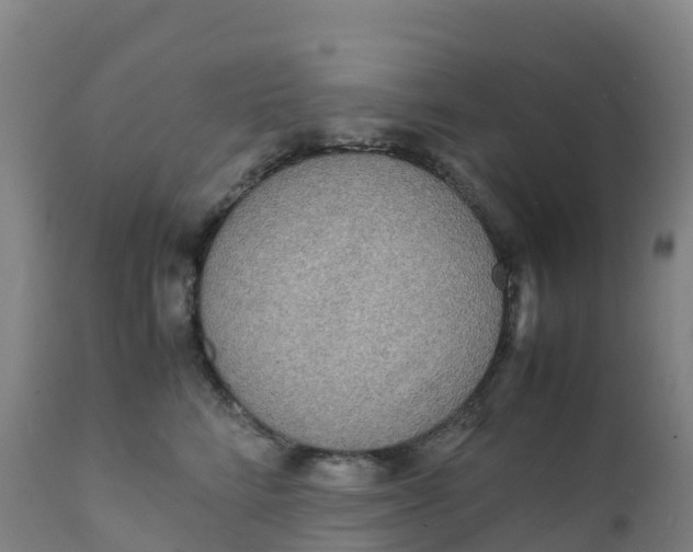 X0000111810712200908131459