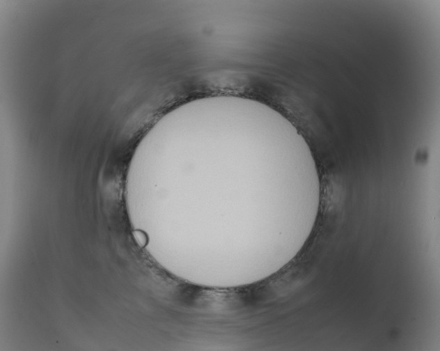 X0000111810713200908131459