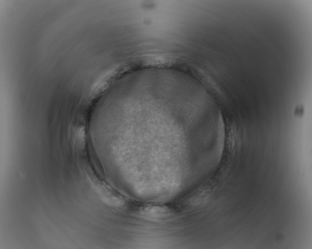 X0000111810716200908131459