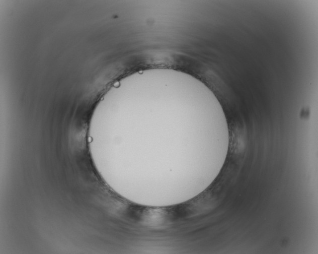 X0000111810717200908131459