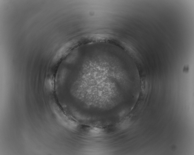 X0000111810718200908131459