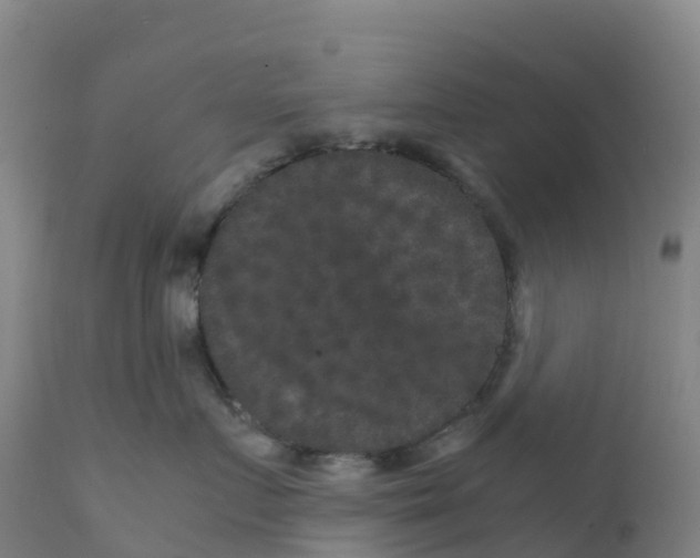 X0000111810719200908131459