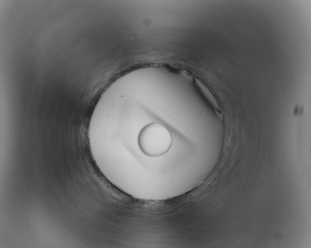 X0000111810720200908131459
