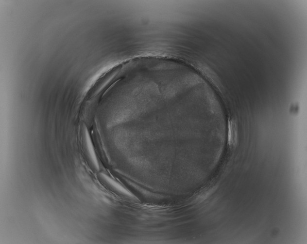 X0000111810723200908131458