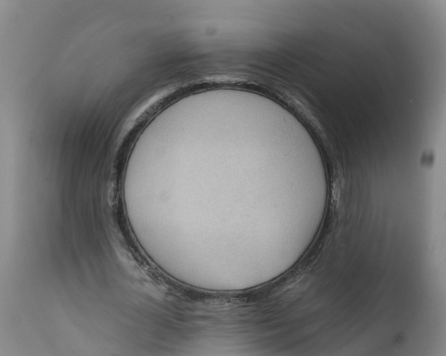 X0000111810724200908131458