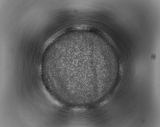 X0000111810725200908131458