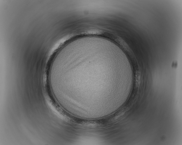 X0000111810726200908131458