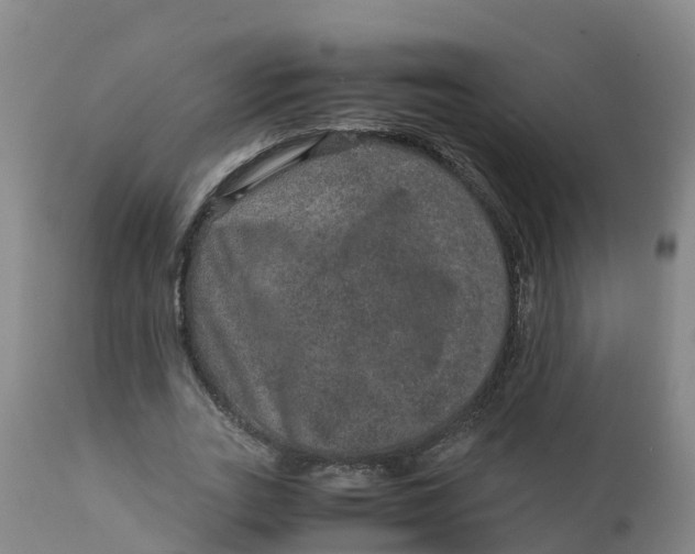 X0000111810727200908131458