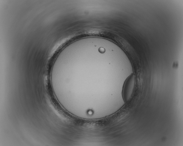 X0000111810728200908131458