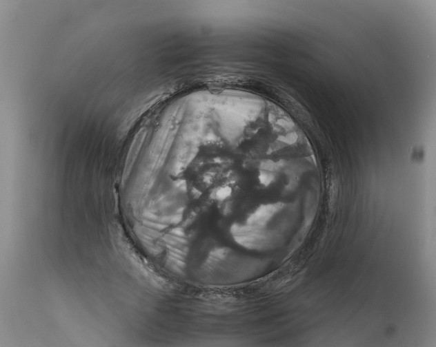 X0000111810729200908131458