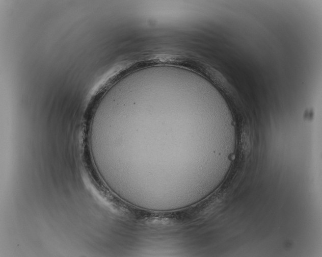 X0000111810730200908131458