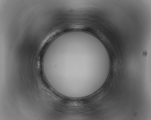 X0000111810731200908131458