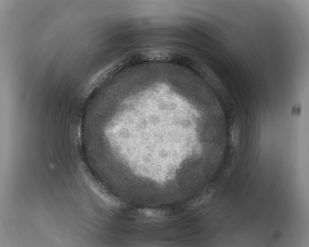 X0000111810733200908131458