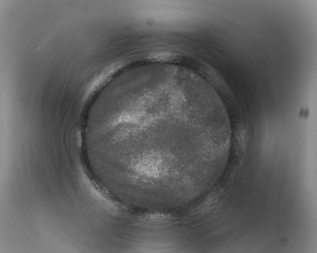 X0000111810734200908131458
