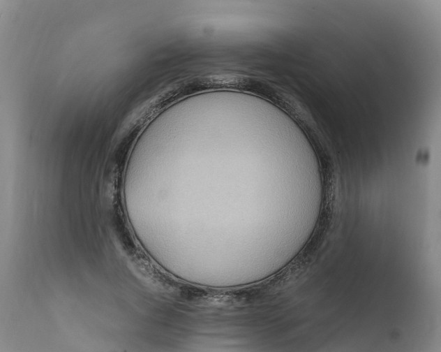 X0000111810736200908131459
