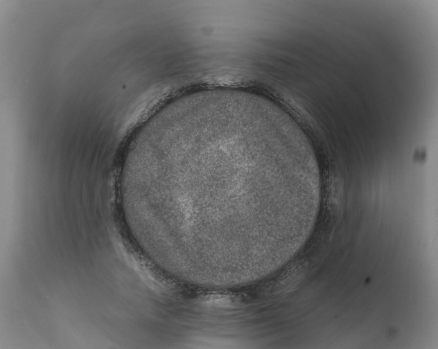 X0000111810738200908131459