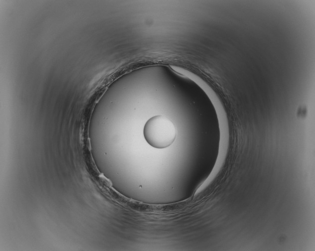 X0000111810740200908131459