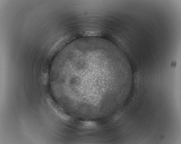X0000111810741200908131459