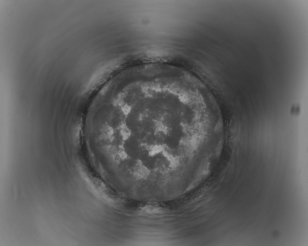 X0000111810742200908131459
