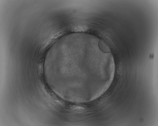 X0000111810743200908131459
