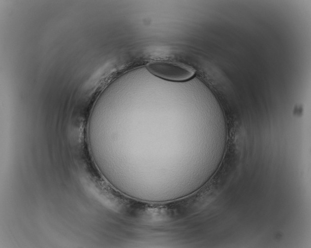 X0000111810744200908131459