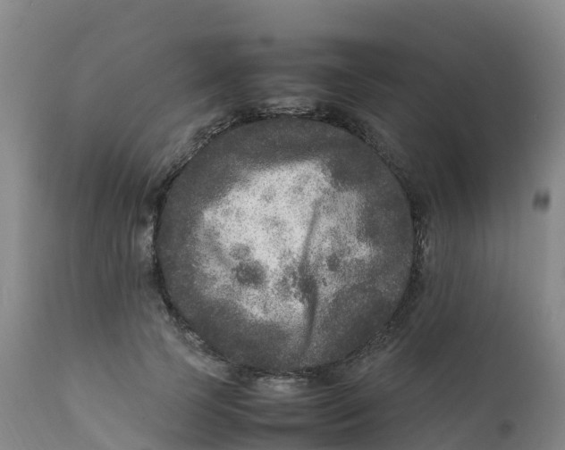X0000111810745200908131459