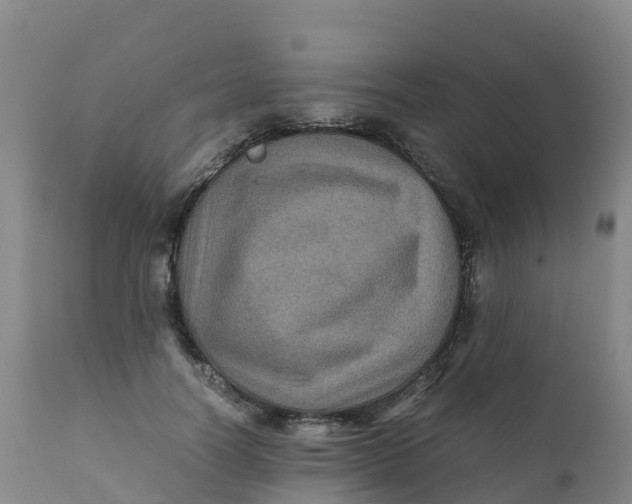 X0000111810746200908131459