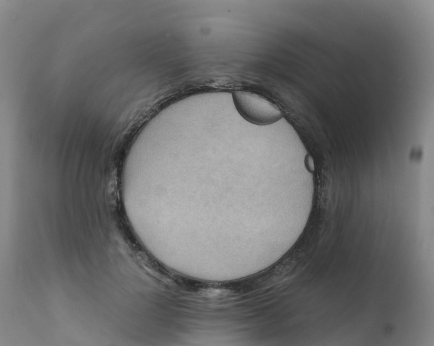 X0000111810748200908131459