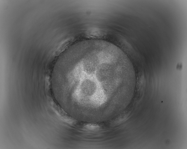 X0000111810749200908131459