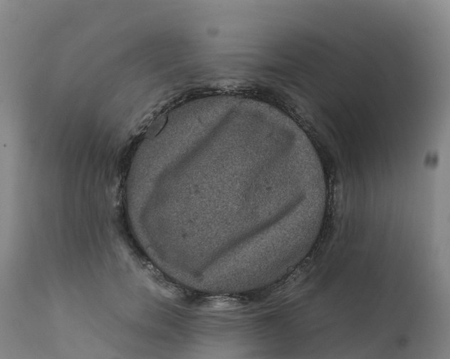 X0000111810750200908131459